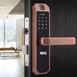 Mẫu khóa cửa vân tay MS:01